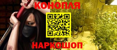 jwh Кингисепп