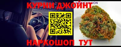 jwh Кингисепп