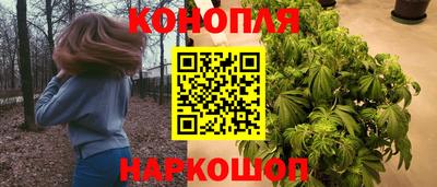 jwh Кингисепп