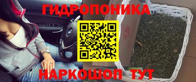 мяу мяу мука Кинель