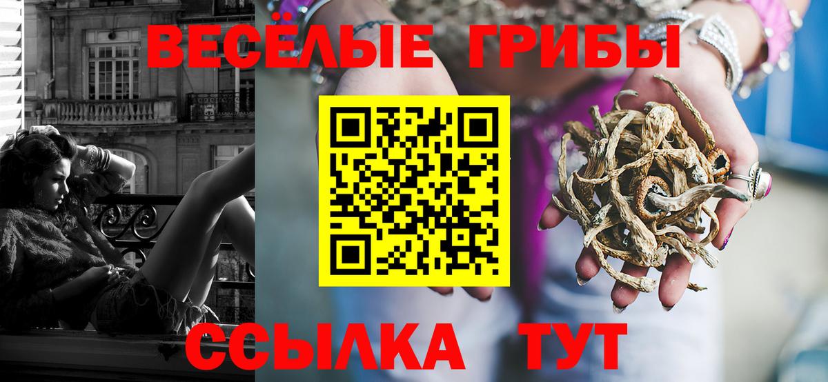 Кубинка  Псилоцибиновые грибы MAGIC MUSHROOMS  Вход с VPN 